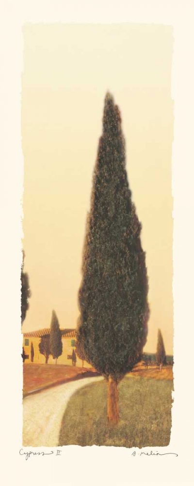 Cypress II art print by Amy Melious for $57.95 CAD