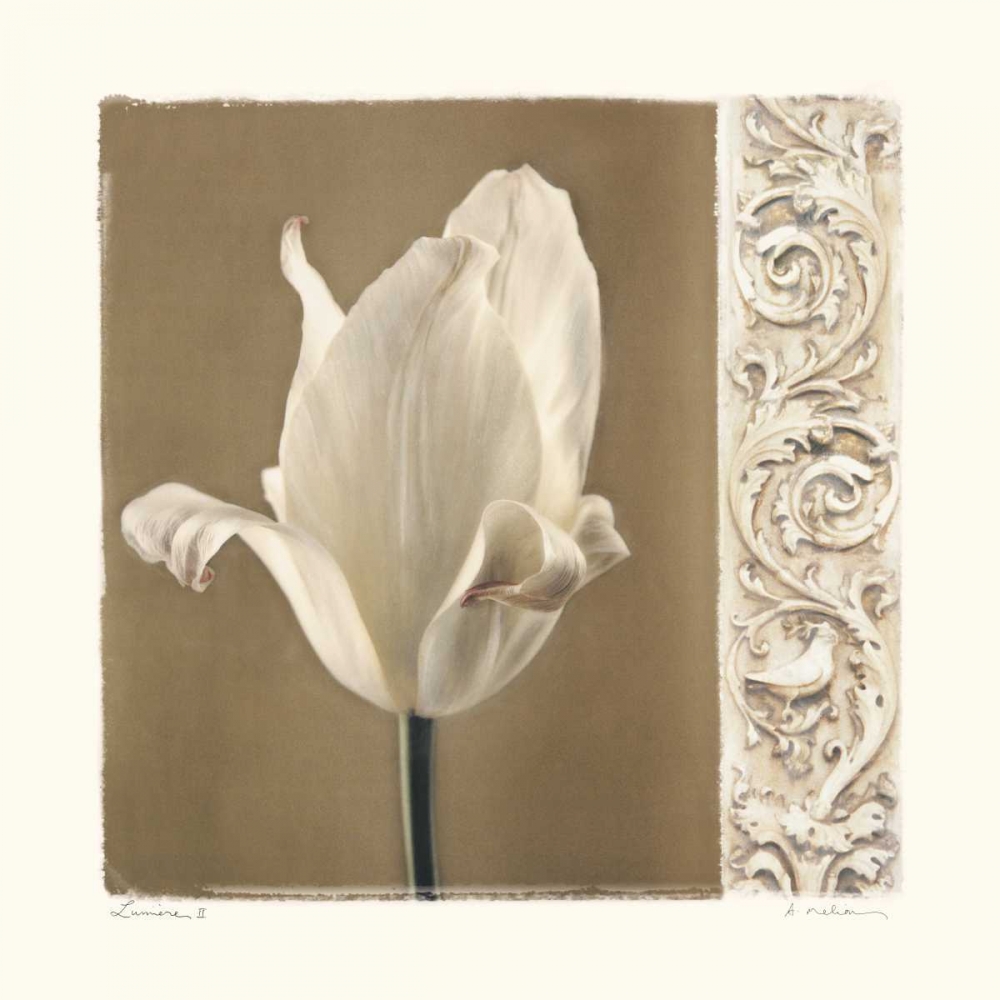 Lumiere II art print by Amy Melious for $57.95 CAD
