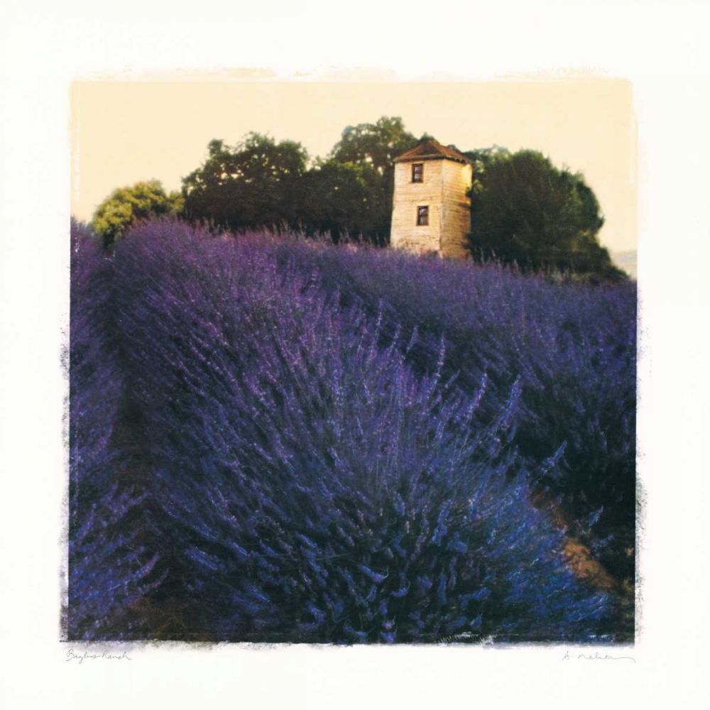 Bayliss Ranch art print by Amy Melious for $57.95 CAD