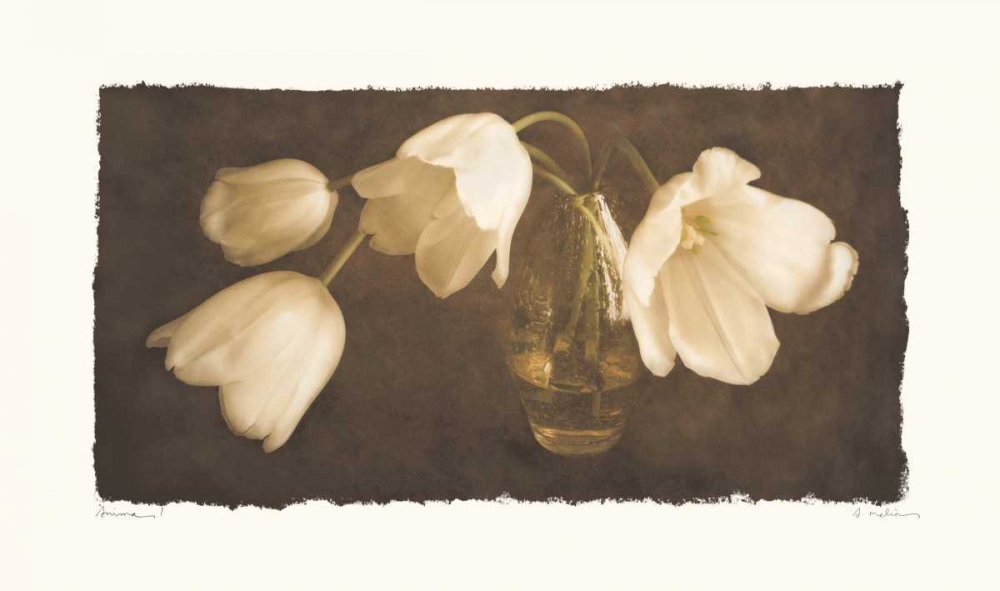 Anima I art print by Amy Melious for $57.95 CAD