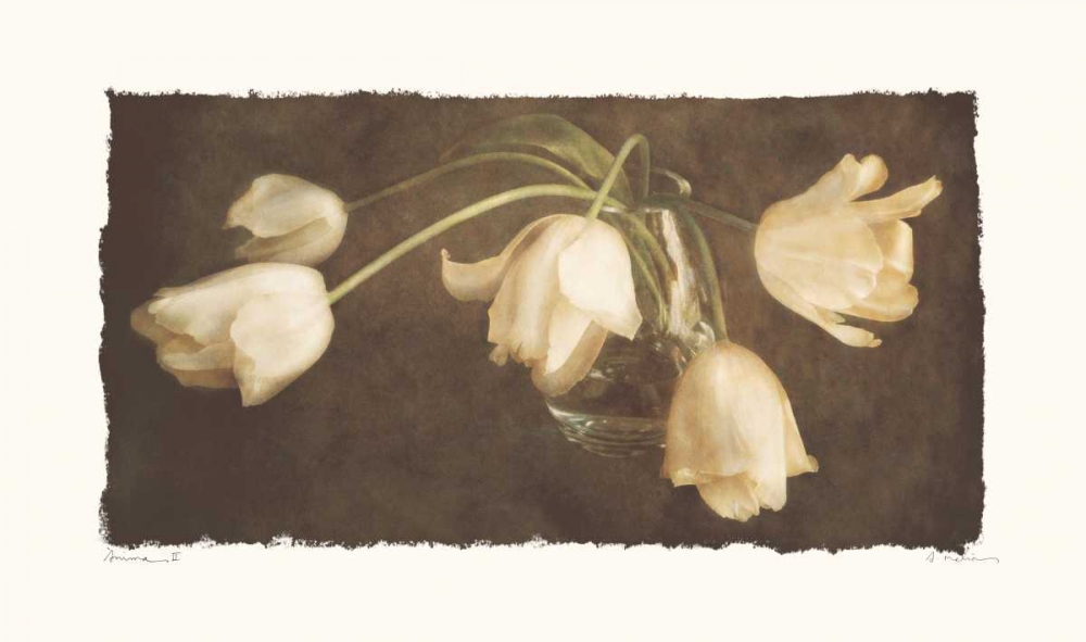 Anima II art print by Amy Melious for $57.95 CAD