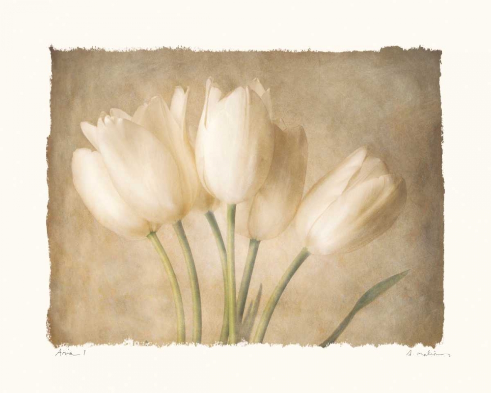 Aria I art print by Amy Melious for $57.95 CAD