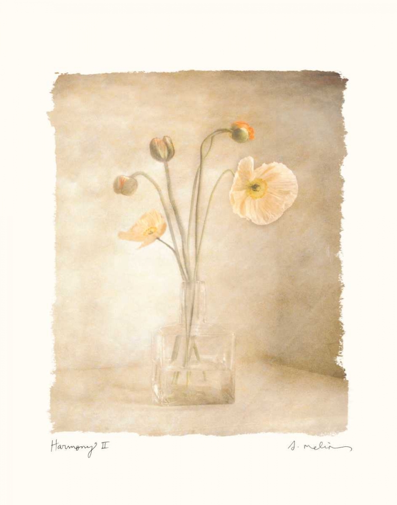 Harmony II art print by Amy Melious for $57.95 CAD