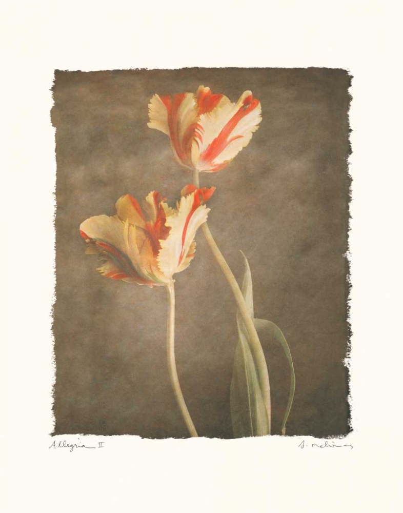 Allegria II art print by Amy Melious for $57.95 CAD