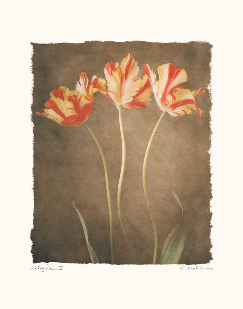 Allegria IV art print by Amy Melious for $57.95 CAD