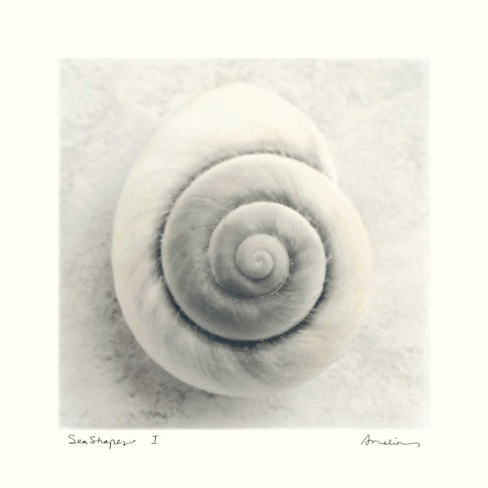 Sea Shapes I art print by Amy Melious for $57.95 CAD