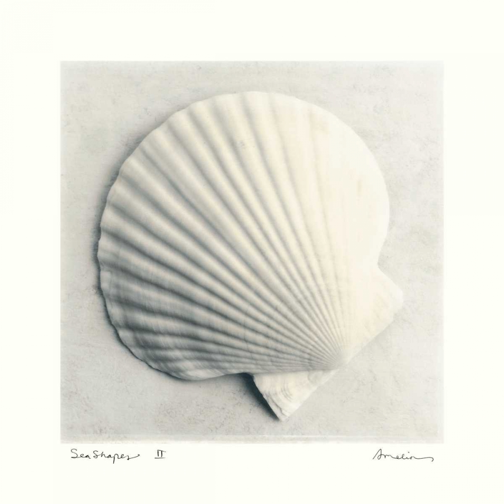Sea Shapes II art print by Amy Melious for $57.95 CAD