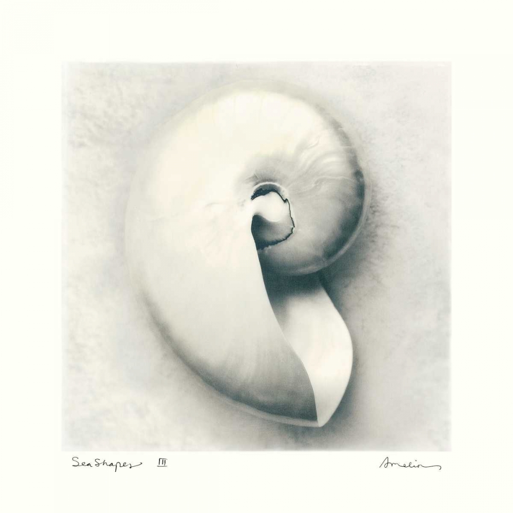 Sea Shapes III art print by Amy Melious for $57.95 CAD