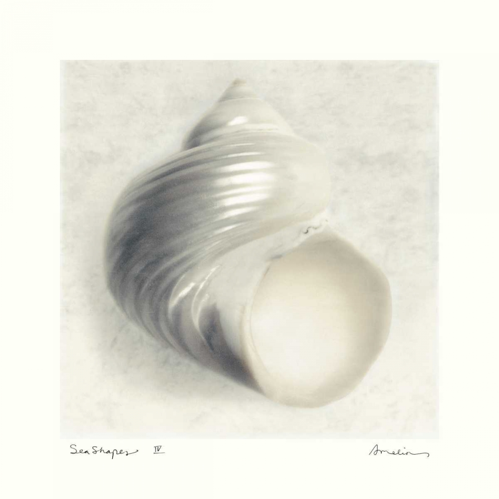 Sea Shapes IV art print by Amy Melious for $57.95 CAD