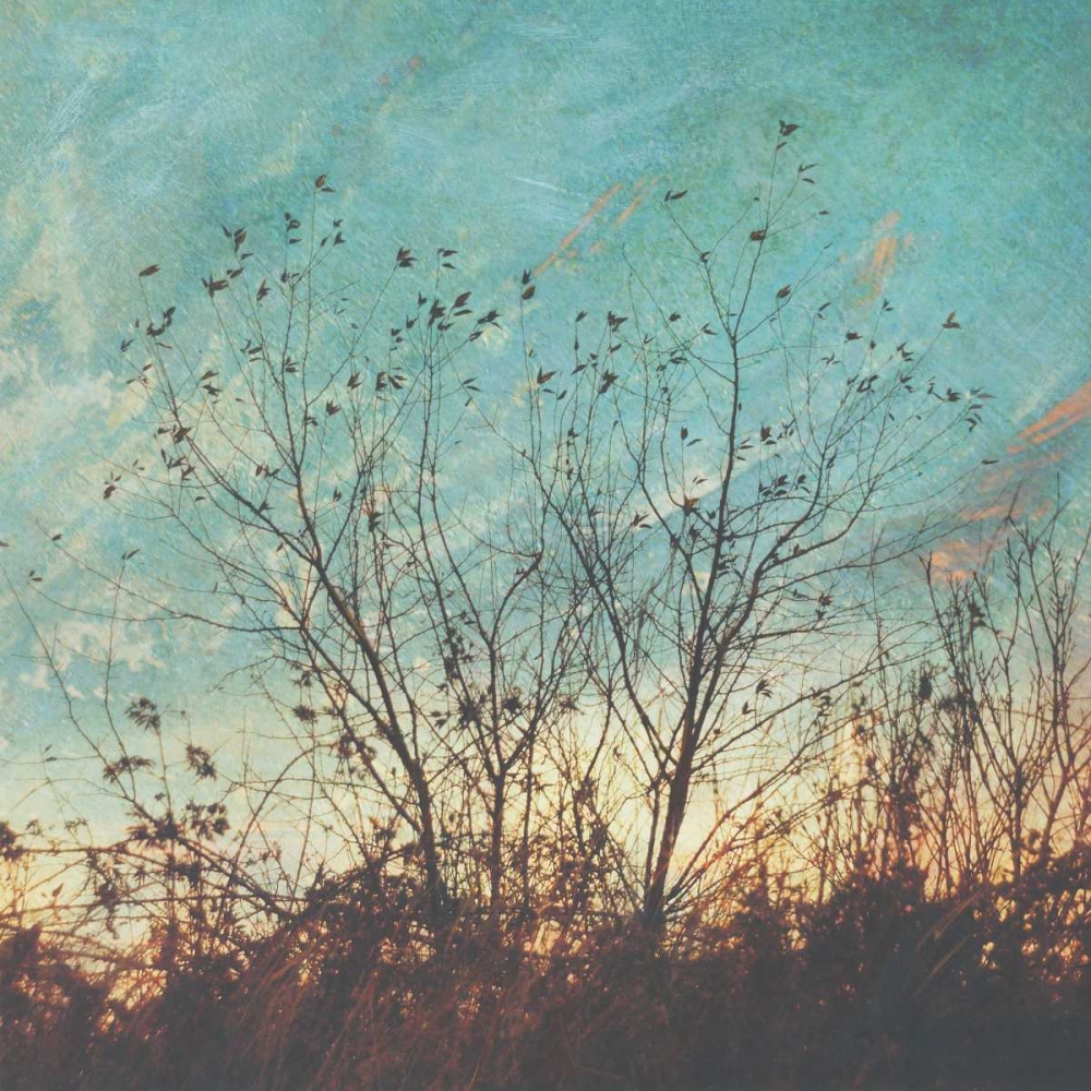 Wild Grass II art print by Amy Melious for $57.95 CAD