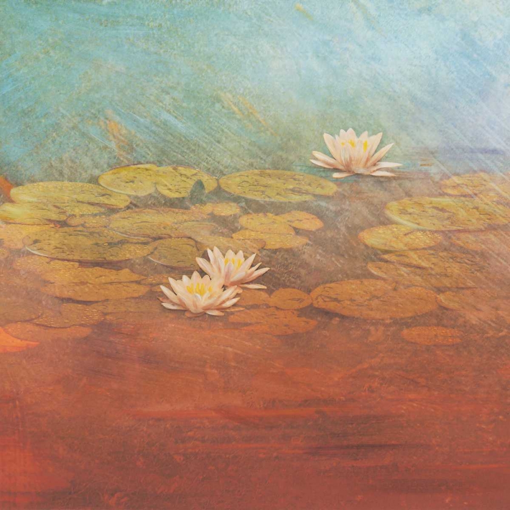 Pond Lilies I art print by Amy Melious for $57.95 CAD