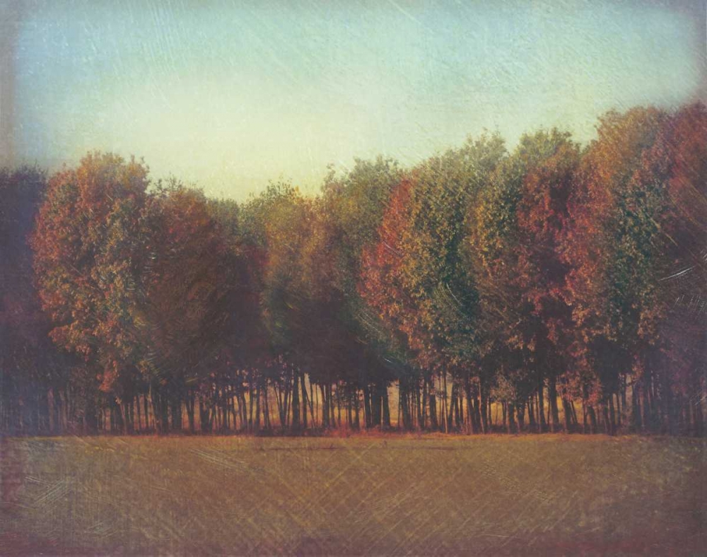 Natures Bliss II art print by Amy Melious for $57.95 CAD