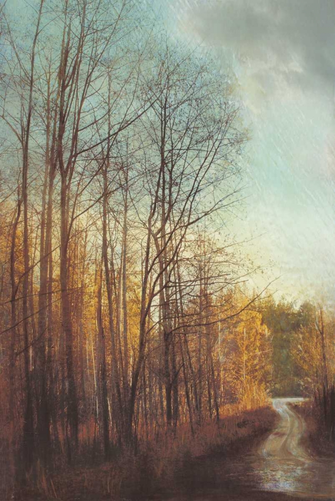 Winter Light I art print by Amy Melious for $57.95 CAD