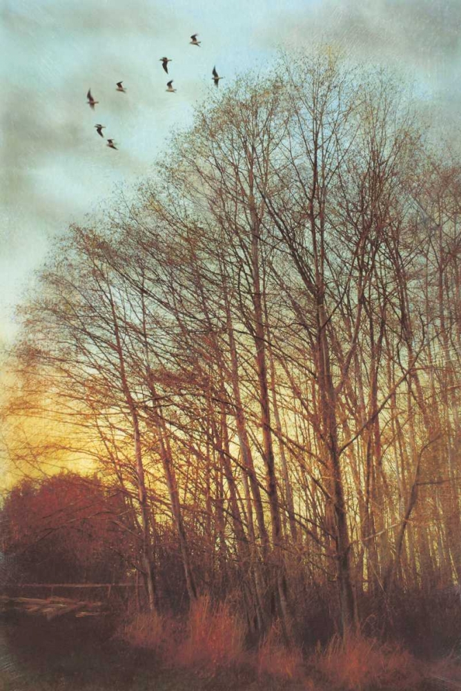 Winter Light II art print by Amy Melious for $57.95 CAD