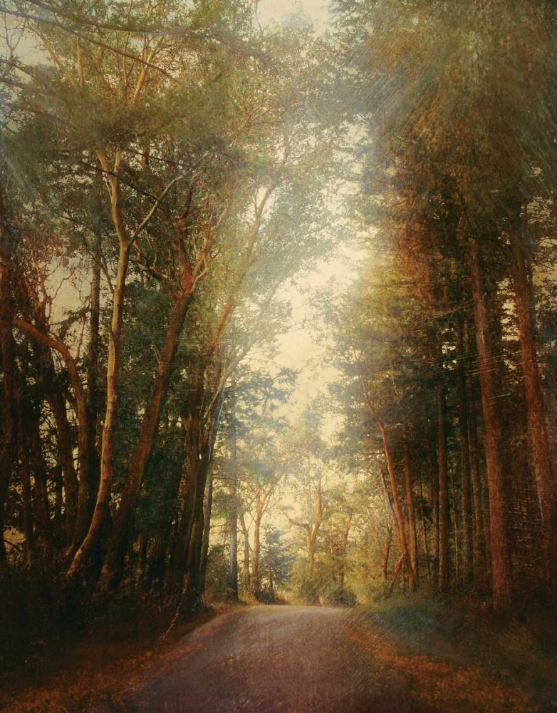 Road of Mysteries II art print by Amy Melious for $57.95 CAD