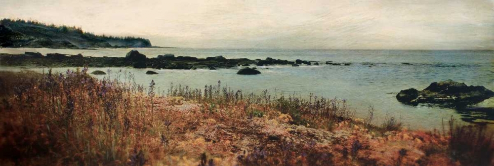 Island Shores I art print by Amy Melious for $57.95 CAD