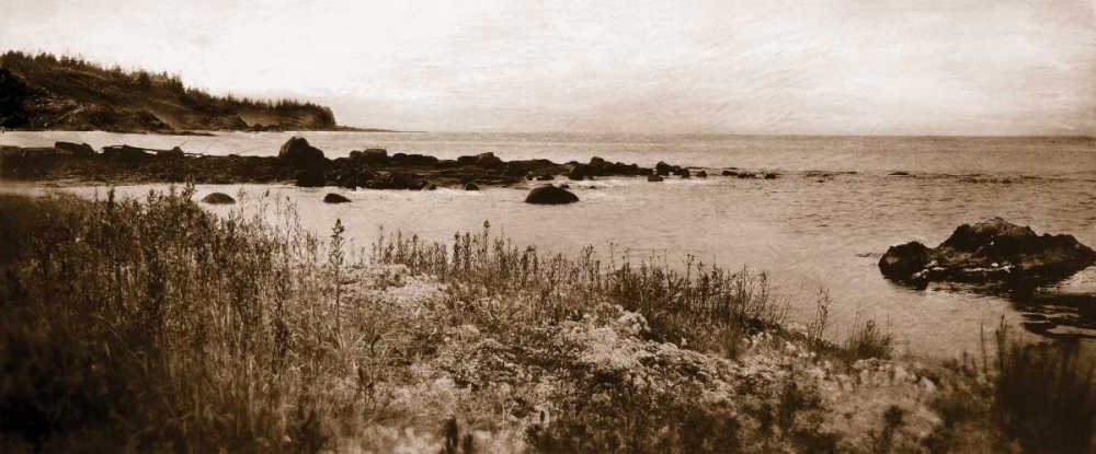 Sepia Island Shores I art print by Amy Melious for $57.95 CAD
