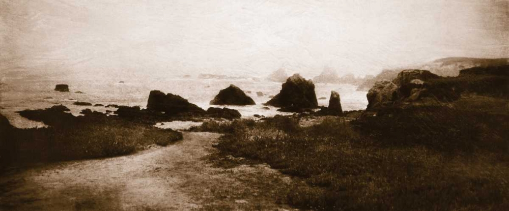Sepia Island Shores II art print by Amy Melious for $57.95 CAD
