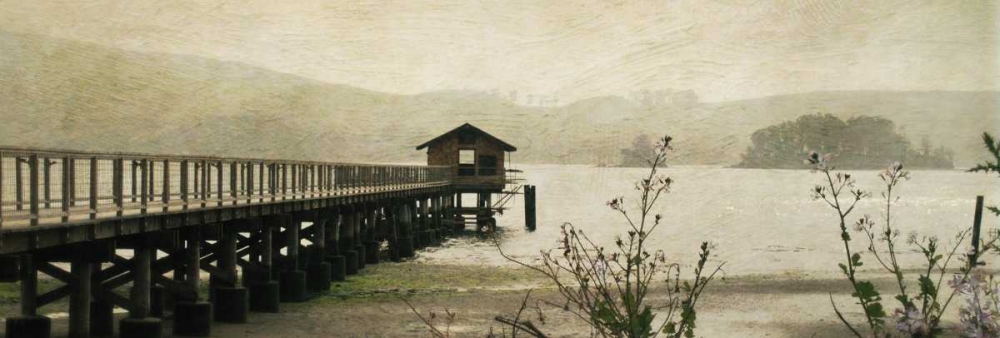 Marshall I art print by Amy Melious for $57.95 CAD
