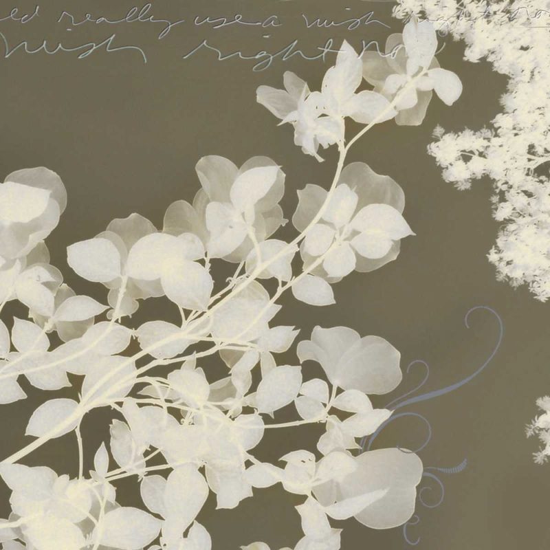 Wishes and Leaves I art print by Amy Melious for $57.95 CAD