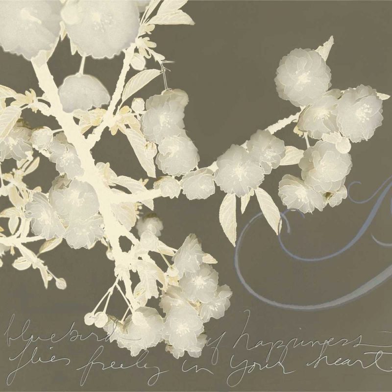 Wishes and Leaves II art print by Amy Melious for $57.95 CAD