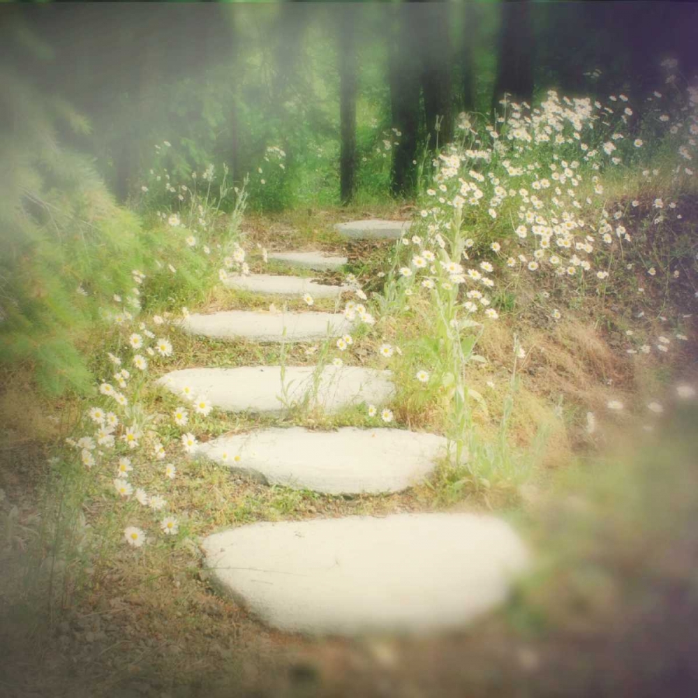 Step by Step art print by Amy Melious for $57.95 CAD