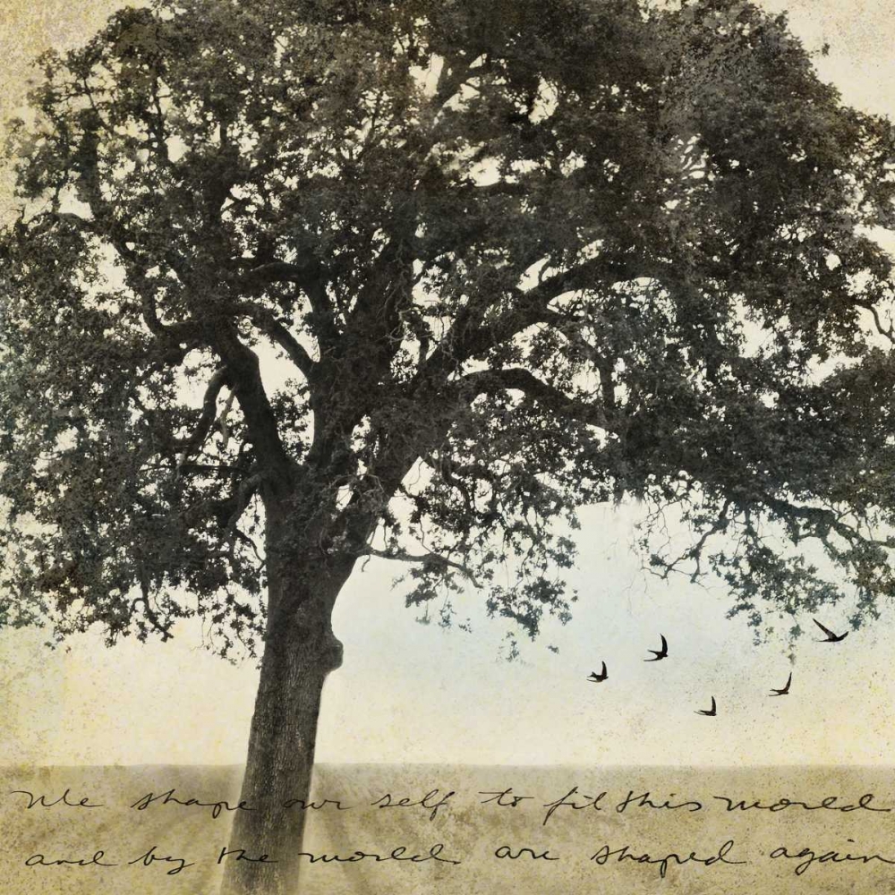 Under the Trees I art print by Amy Melious for $57.95 CAD