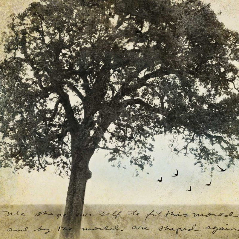 Under the Trees I art print by Amy Melious for $57.95 CAD