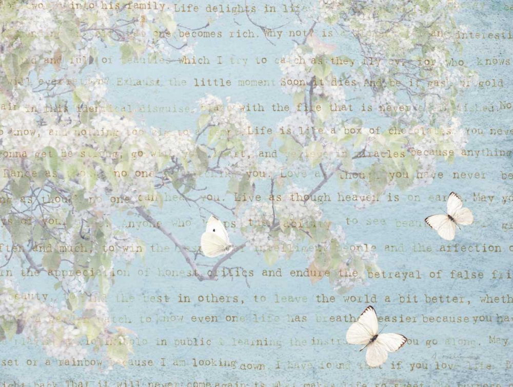 Blossoms and Butterflies I art print by Amy Melious for $57.95 CAD