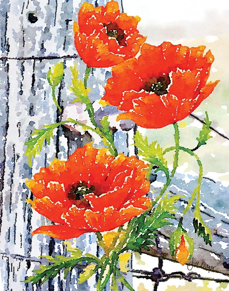 Fenced In II art print by Jill Meyer for $57.95 CAD