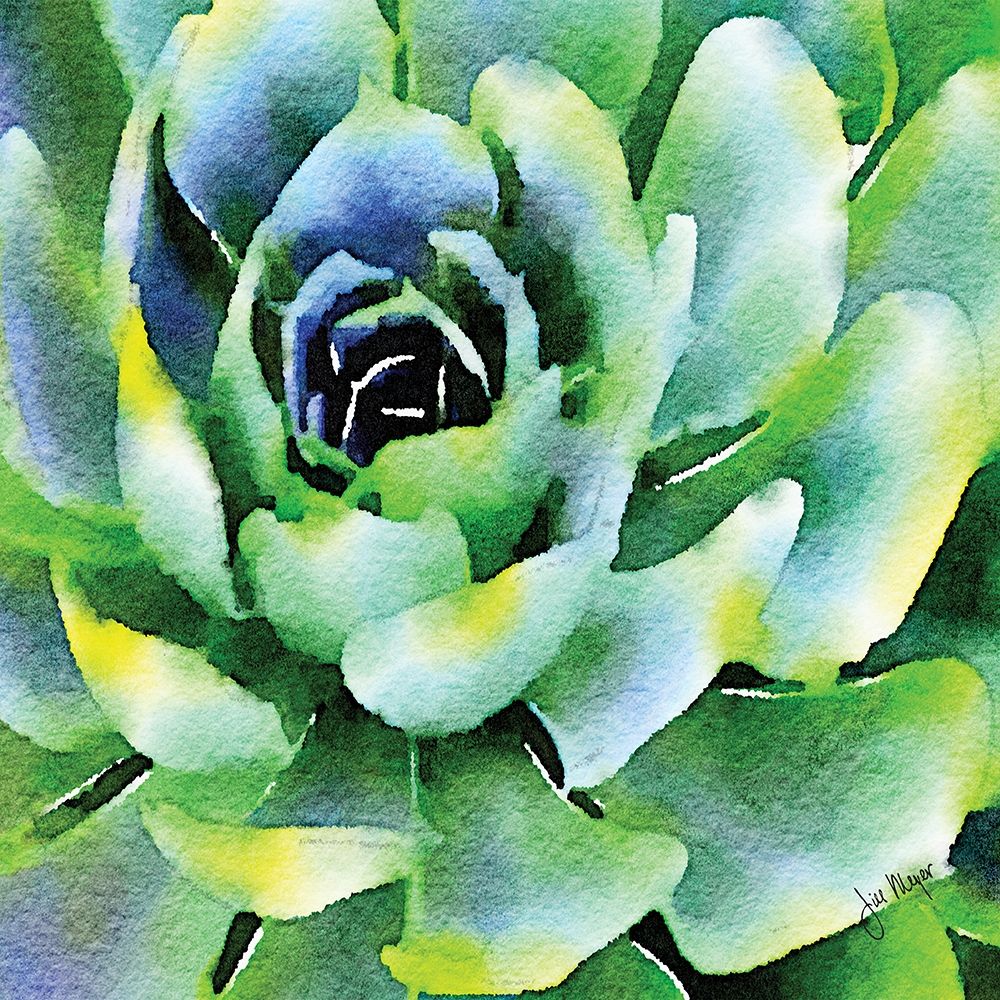 Opulent Succulents I art print by Jill Meyer for $57.95 CAD