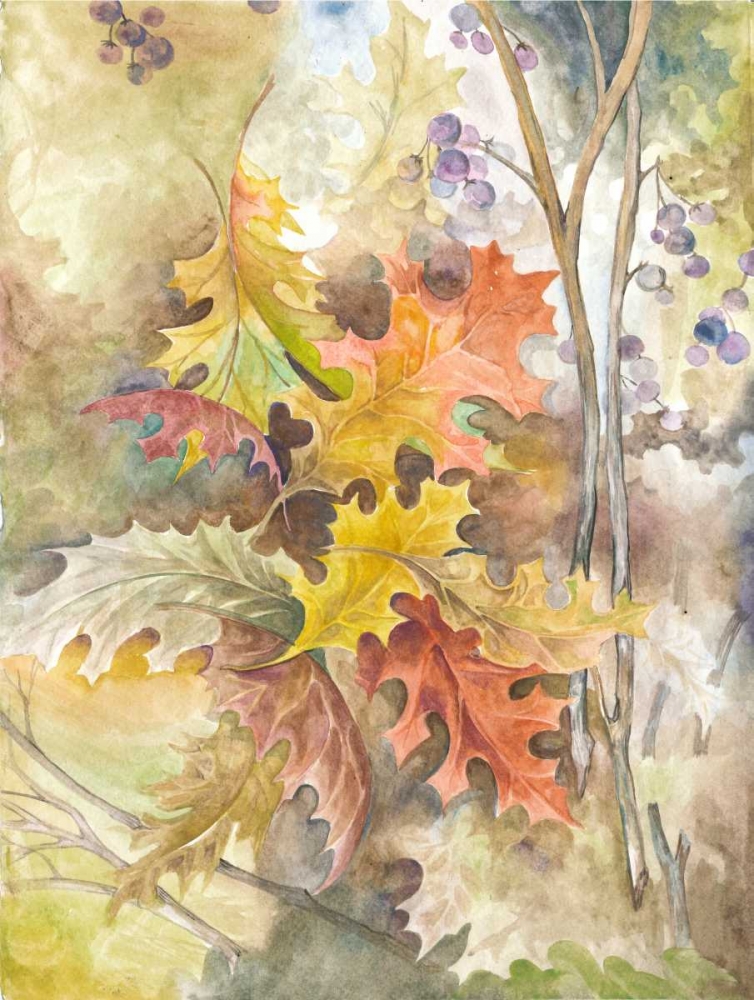 Treasures from Nature art print by Margaret Ferry for $57.95 CAD