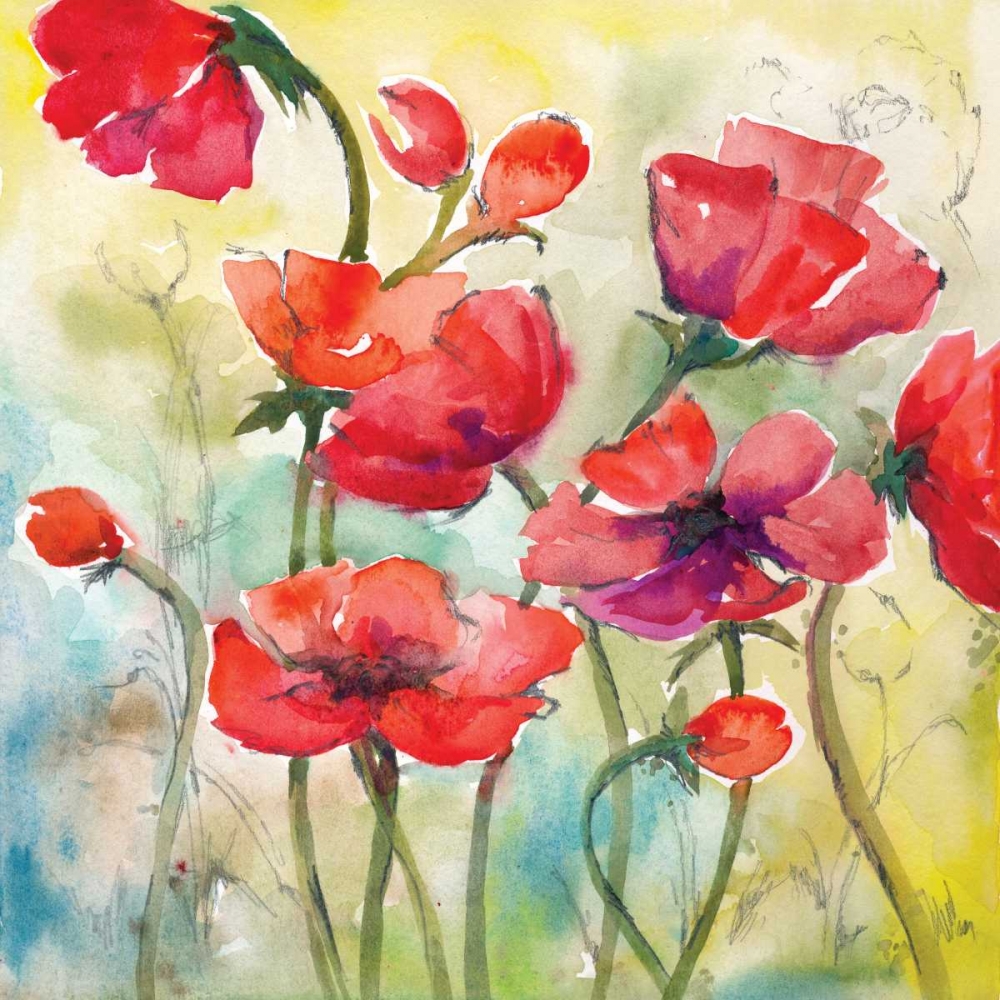 Poppy Study I art print by Margaret Ferry for $57.95 CAD