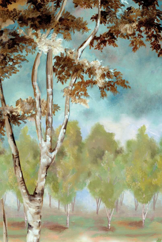 Birch Forest I art print by Margaret Ferry for $57.95 CAD