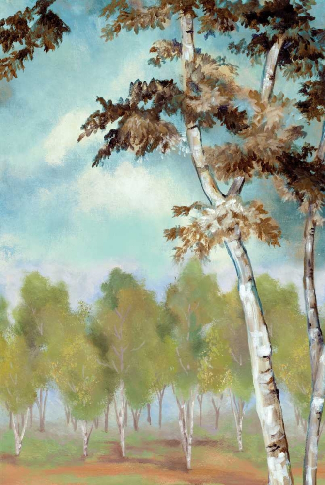 Birch Forest II art print by Margaret Ferry for $57.95 CAD