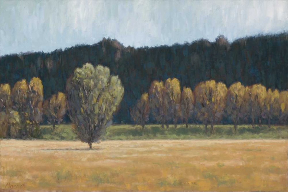 Cottonwood Country I art print by John Macnab for $57.95 CAD