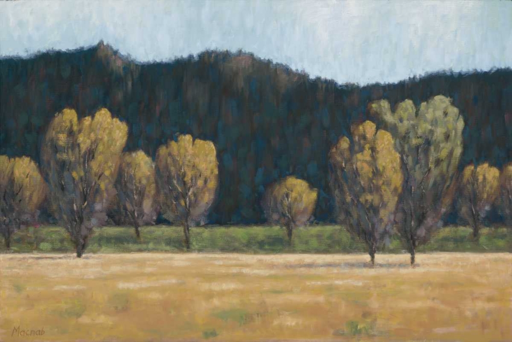 Cottonwood Country II art print by John Macnab for $57.95 CAD
