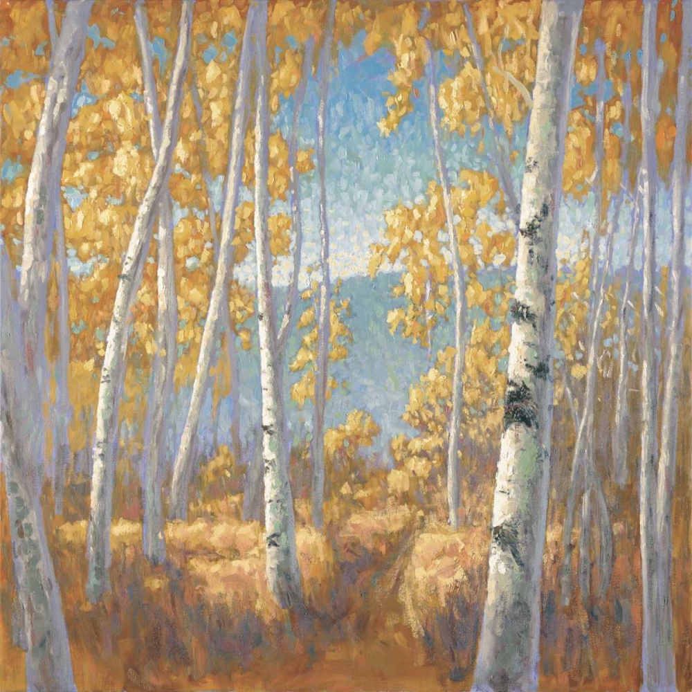 Fall Aspen I art print by John Macnab for $57.95 CAD