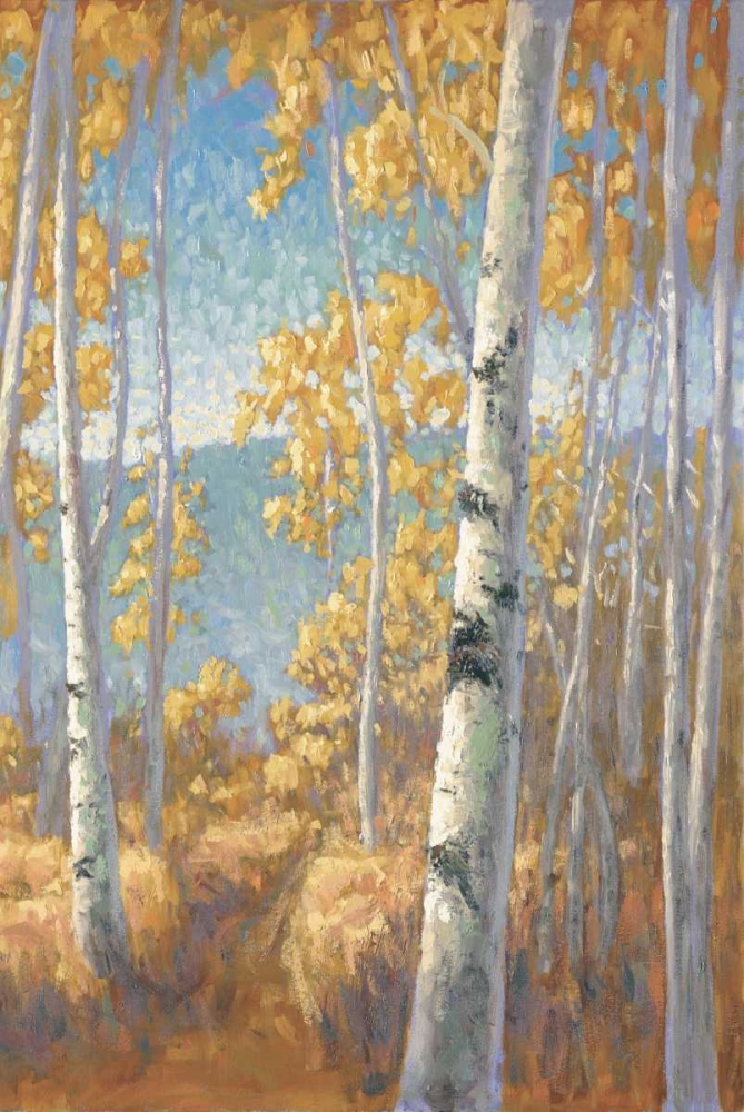 Aspen Forest II art print by John Macnab for $57.95 CAD