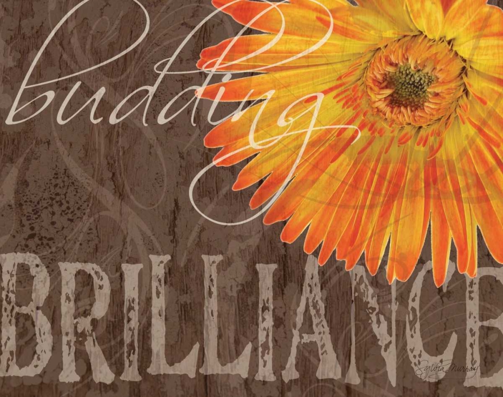 Gerbera II art print by Sylvia Murray for $57.95 CAD