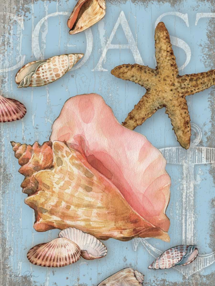 Beach Shells Coast art print by Julie Paton for $57.95 CAD