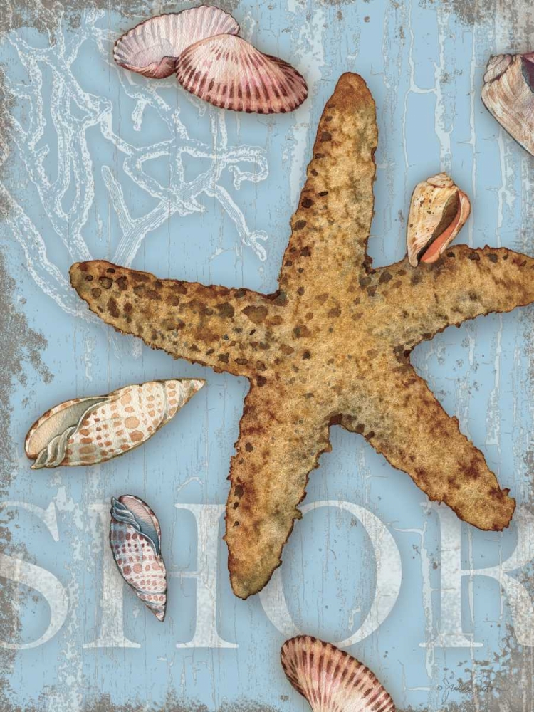 Beach Shells Shore art print by Julie Paton for $57.95 CAD