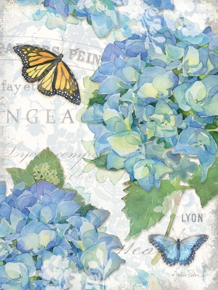 Garden Hydrangea II art print by Julie Paton for $57.95 CAD