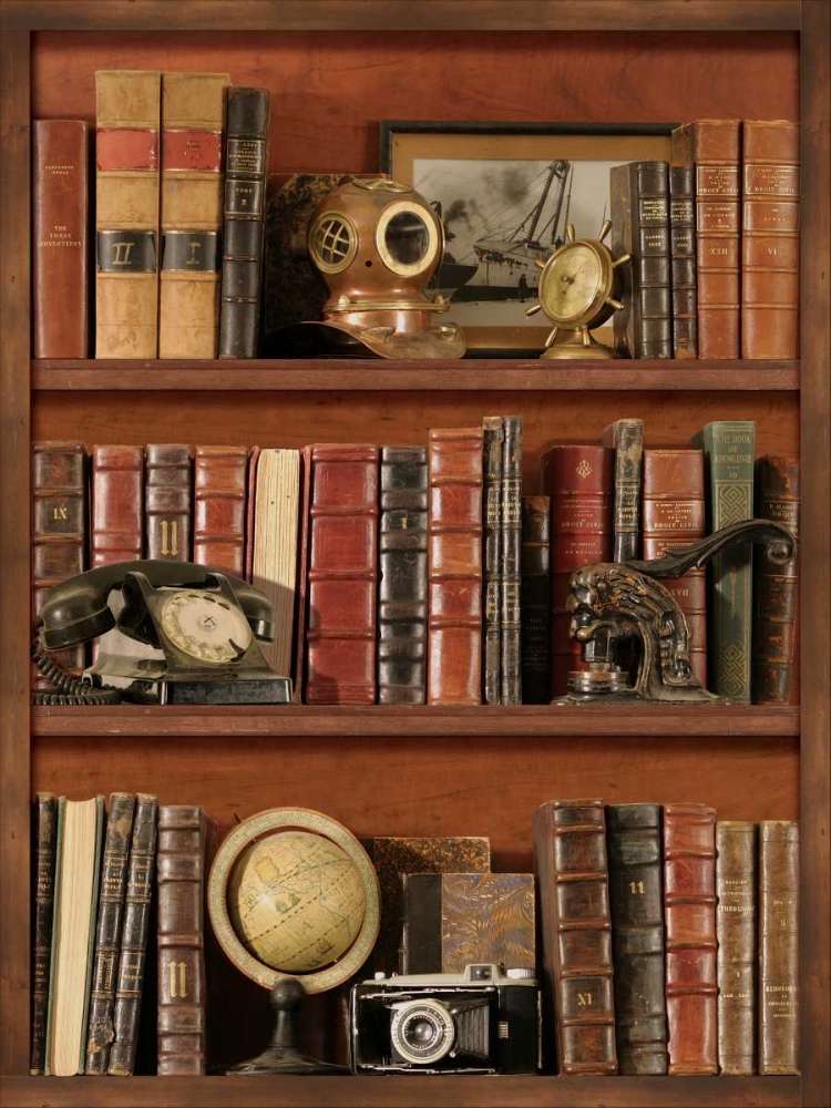Librairie III art print by Pela Design for $57.95 CAD