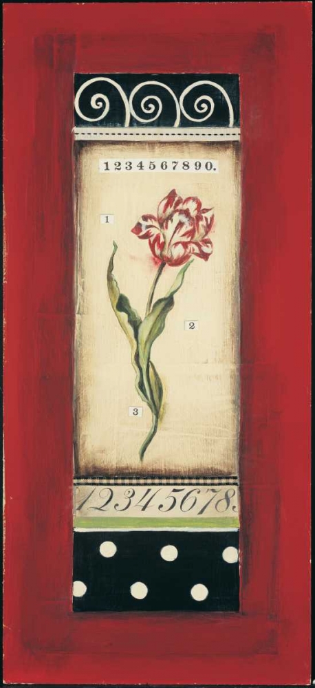 Belgian Tulip I art print by Kimberly Poloson for $57.95 CAD