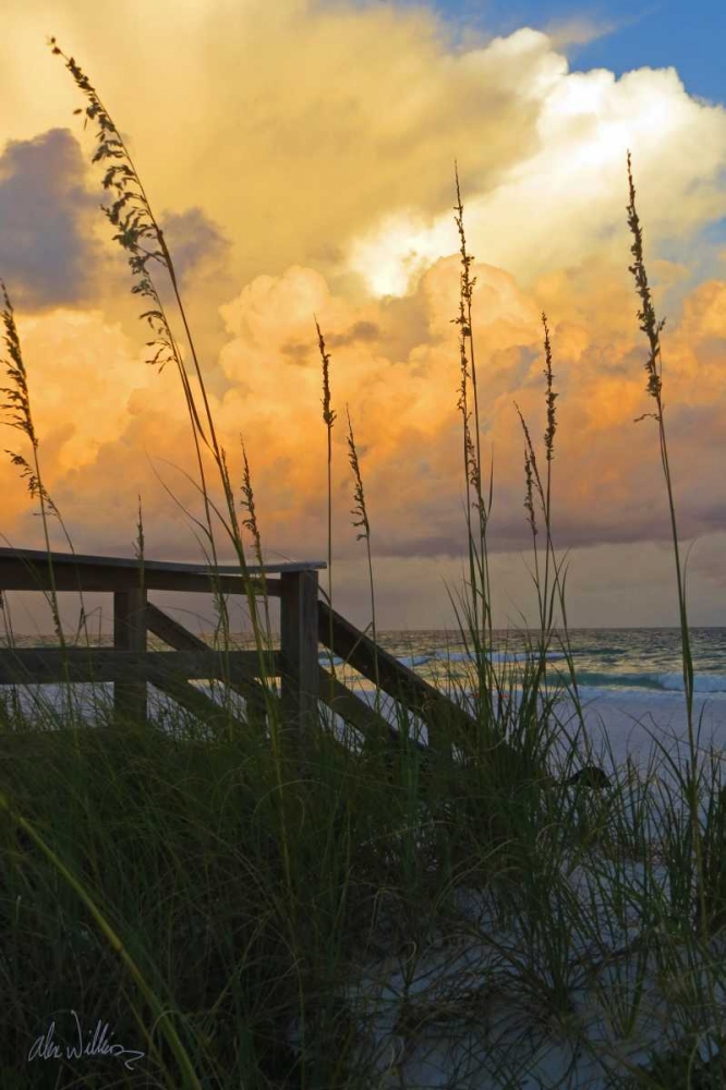 Majestic Coast I art print by Alex Williams for $57.95 CAD