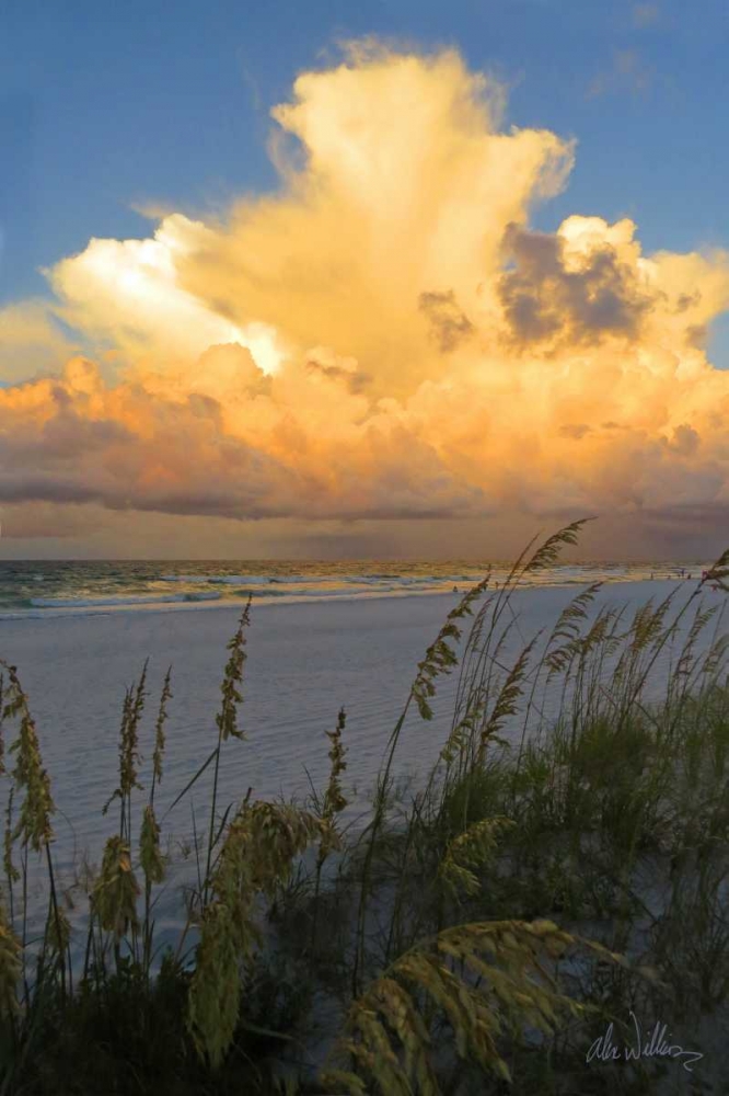 Majestic Coast II art print by Alex Williams for $57.95 CAD