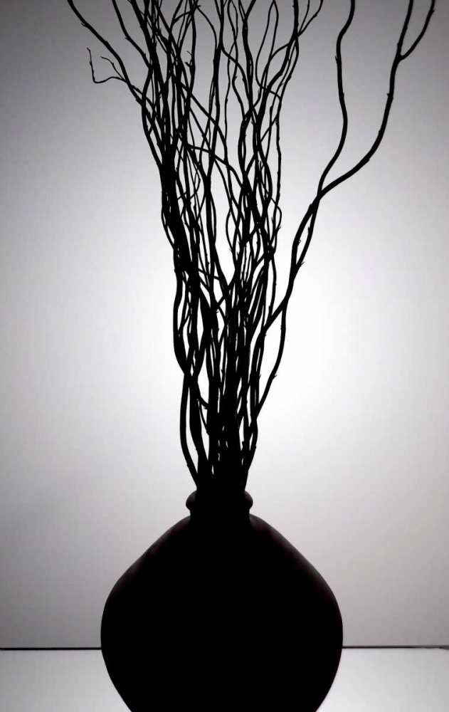 Still Life Silhouette I art print by Monika Burkhart for $57.95 CAD