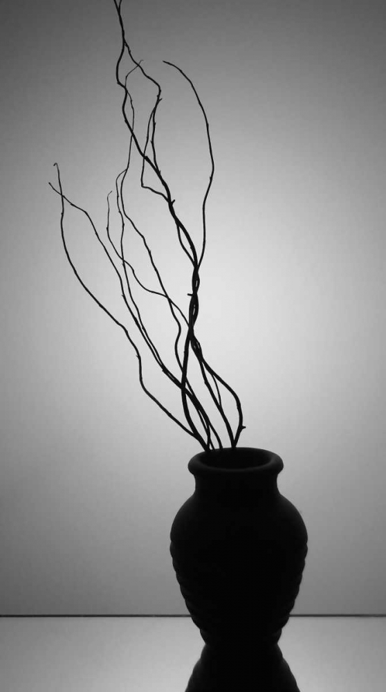 Still Life Silhouette II art print by Monika Burkhart for $57.95 CAD