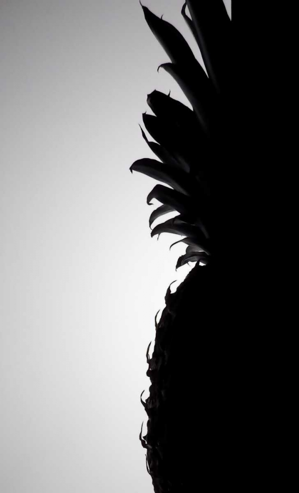 Pineapple Silhouette art print by Monika Burkhart for $57.95 CAD
